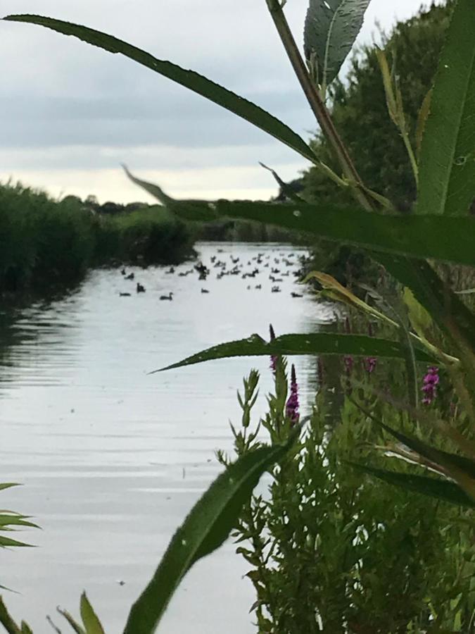 Iris'T; Dijkhuisje In De Polders Van Groede. Exterior foto