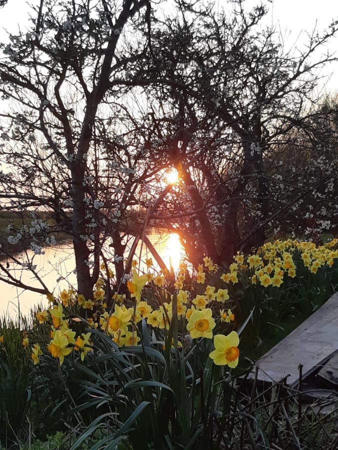 Iris'T; Dijkhuisje In De Polders Van Groede. Exterior foto